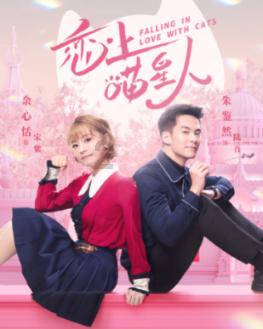 饥饿的松鼠救援