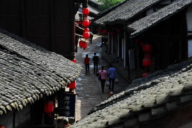 阴暗森林